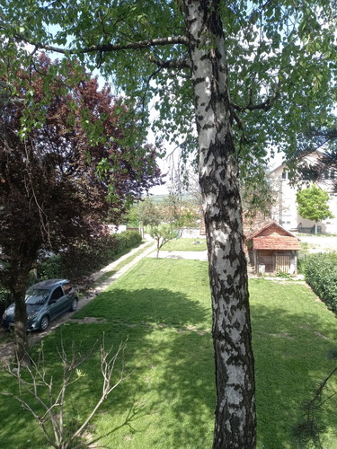 Avala, kragujevacki put. 200 m2, uknjizena 130.000 e